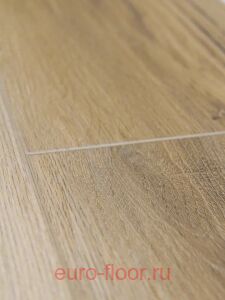 Bonkeel ����� ������