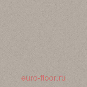 Acczent Forto ���� 1