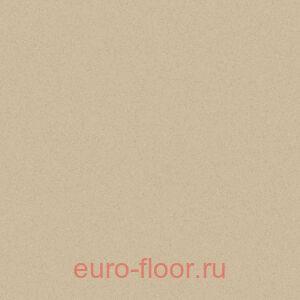 Acczent Forto ���� 2