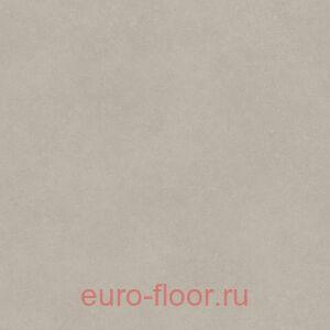 Acczent Forto Nara 2