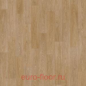 Acczent Forto Oren 3