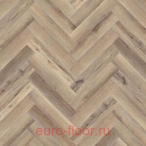 ������� Ambient House Barbara