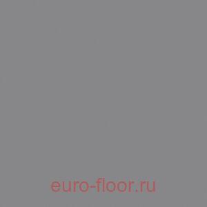 Basis Sport 6.5�� ����