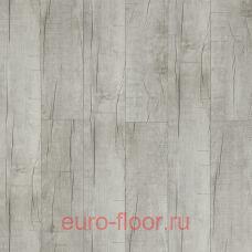 DEW    6008-5