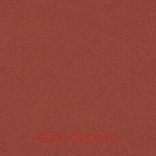 ������ ��� ������ 8