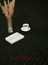 �������� Haima Chic 05