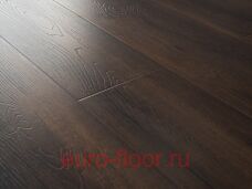 Bristol ��� ���������