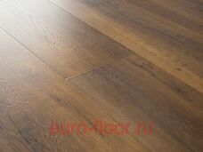 Bristol ��� �������