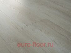 Bristol ��� �������