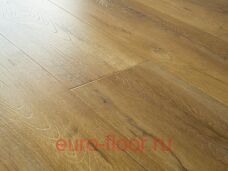 Bristol ��� �����