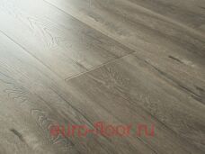 Bristol ��� �����