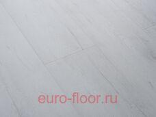 Bristol ��� �������