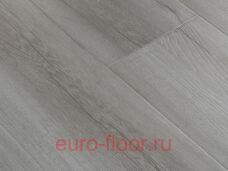 Bristol ��� ��������