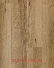 Bonkeel ���� 342