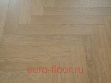 Chester ��� ������