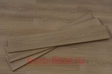 Select 12�� ��� �����������