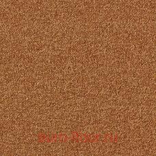 �������� ������ AW Maxima 85