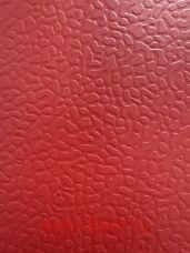 Basis Sport 4.5�� �������