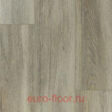 DEW Bay �����