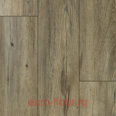 DEW Bay �����