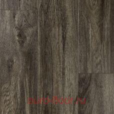 DEW Bay ������