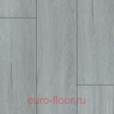 DEW Bay ������