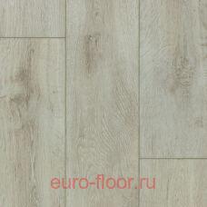 DEW Bay ����