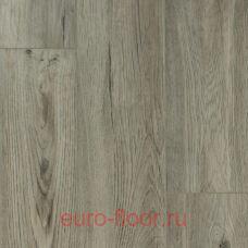 DEW Bay ����