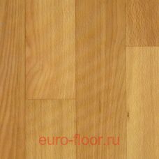 Sport 6mm Gold Beech