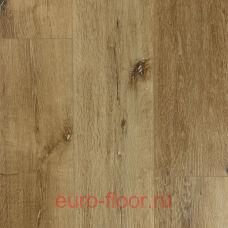 DEW ������ �����