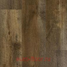 DEW ������ ����