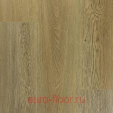 DEW ������ �����