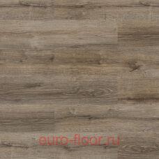 DEW Si ��� ��������