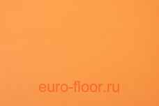 Apoluza Sportfloor 8.5�� �����