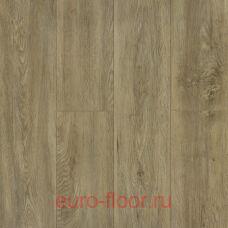 DEW Bay ��������