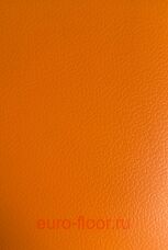Basis 6.5 Orange