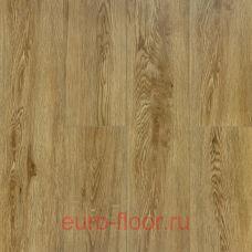 DEW Bay �����