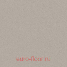 Acczent Forto ���� 1