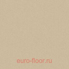 Acczent Forto ���� 2