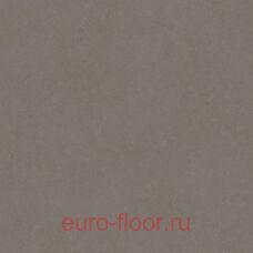 Acczent Forto Nara 4