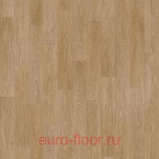 Acczent Forto Oren 3