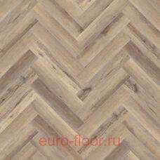 ������� Ambient House Barbara