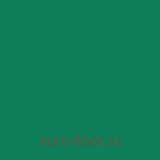 Basis Sport 6.5�� Green