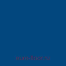 Sport 6mm Royal Blue