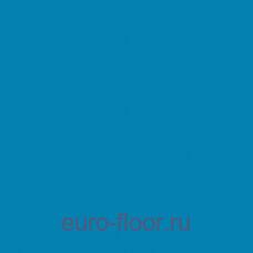 Basis Sport 6.5�� Blue